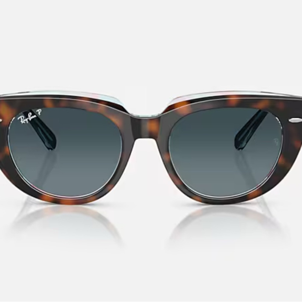 Ray-Ban polarized Doreen Brown Cat-Eye Sunglasses